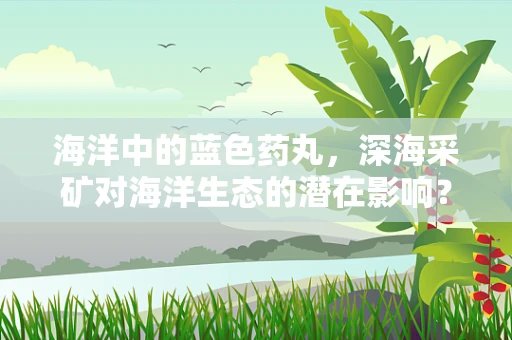 海洋中的蓝色药丸，深海采矿对海洋生态的潜在影响？
