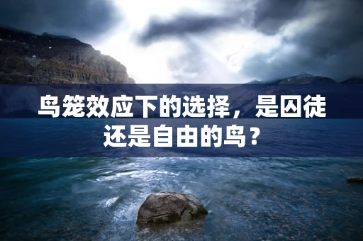 鸟笼效应下的选择，是囚徒还是自由的鸟？