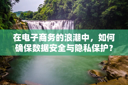 在电子商务的浪潮中，如何确保数据安全与隐私保护？