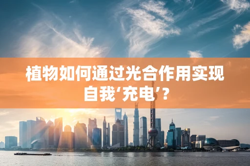 植物如何通过光合作用实现自我‘充电’？