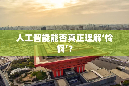 人工智能能否真正理解‘怜悯’？