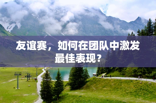 友谊赛，如何在团队中激发最佳表现？