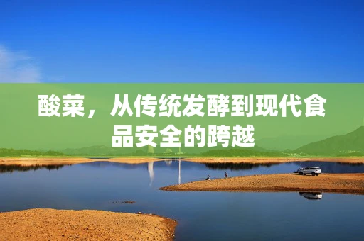 酸菜，从传统发酵到现代食品安全的跨越