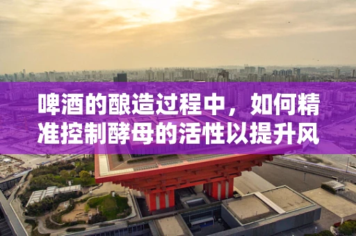 啤酒的酿造过程中，如何精准控制酵母的活性以提升风味？