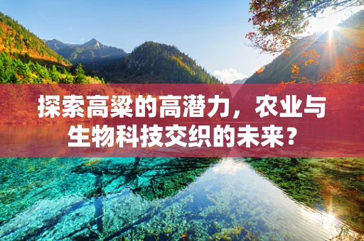探索高粱的高潜力，农业与生物科技交织的未来？