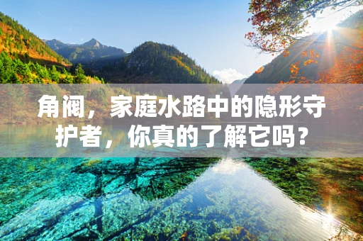 角阀，家庭水路中的隐形守护者，你真的了解它吗？