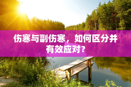 伤寒与副伤寒，如何区分并有效应对？