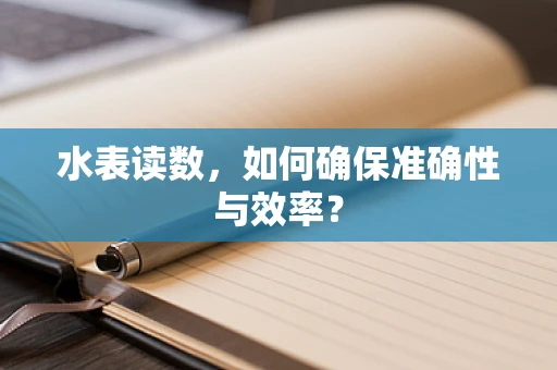 水表读数，如何确保准确性与效率？