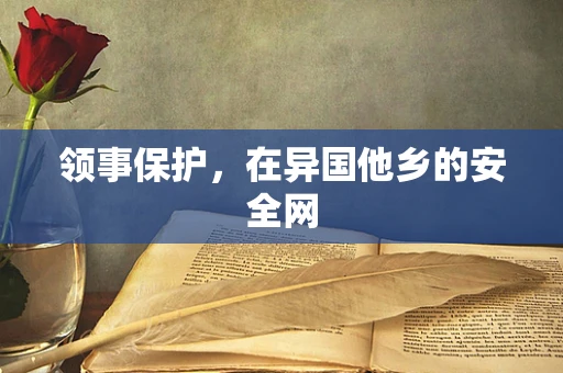 领事保护，在异国他乡的安全网