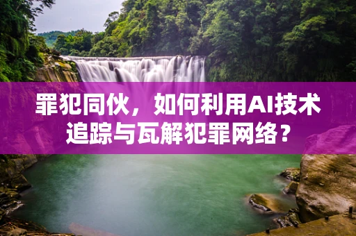 罪犯同伙，如何利用AI技术追踪与瓦解犯罪网络？