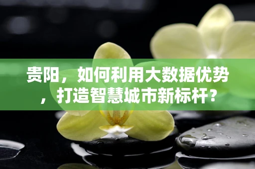 贵阳，如何利用大数据优势，打造智慧城市新标杆？