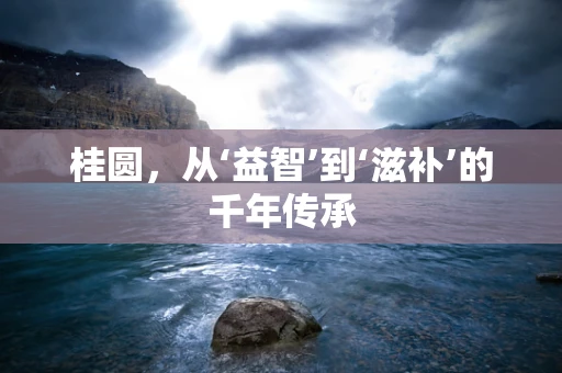 桂圆，从‘益智’到‘滋补’的千年传承