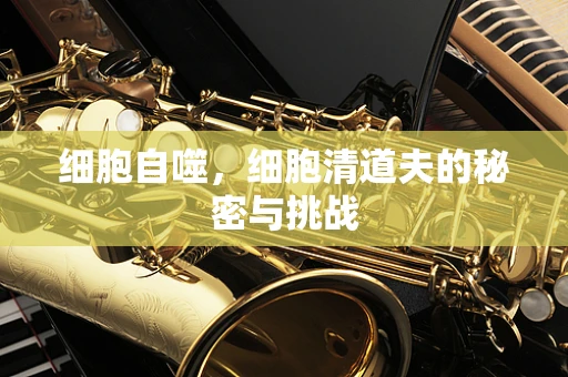 细胞自噬，细胞清道夫的秘密与挑战