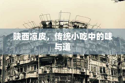陕西凉皮，传统小吃中的味与道