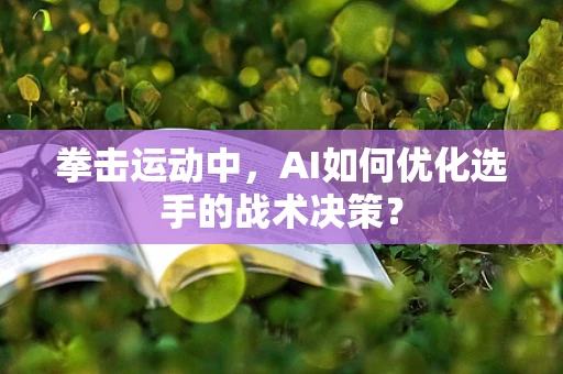 拳击运动中，AI如何优化选手的战术决策？