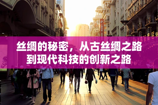 丝绸的秘密，从古丝绸之路到现代科技的创新之路