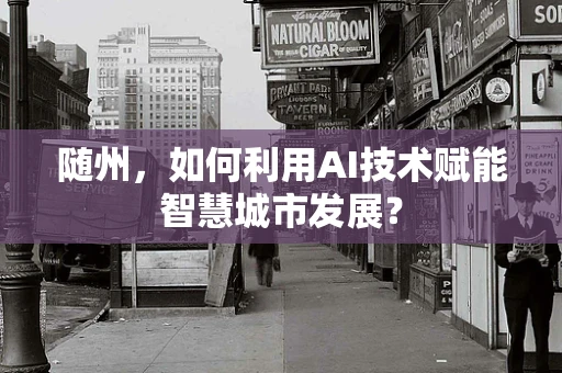 随州，如何利用AI技术赋能智慧城市发展？
