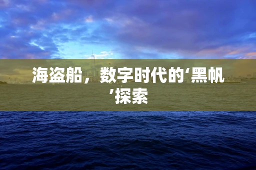 海盗船，数字时代的‘黑帆’探索