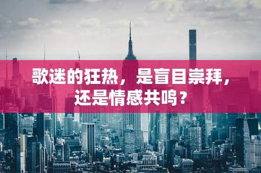 歌迷的狂热，是盲目崇拜，还是情感共鸣？