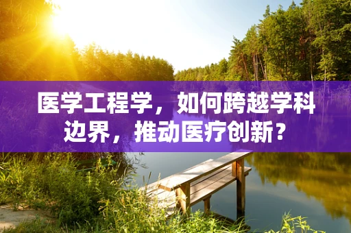 医学工程学，如何跨越学科边界，推动医疗创新？