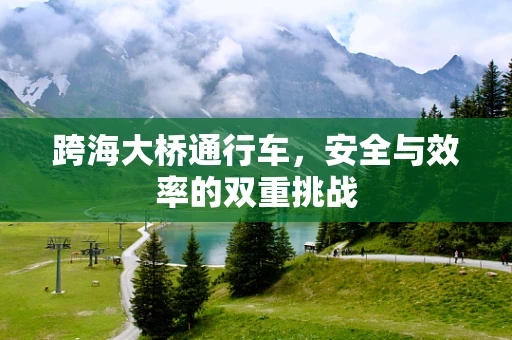 跨海大桥通行车，安全与效率的双重挑战