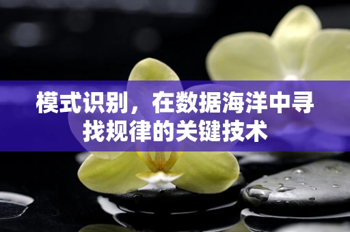 模式识别，在数据海洋中寻找规律的关键技术