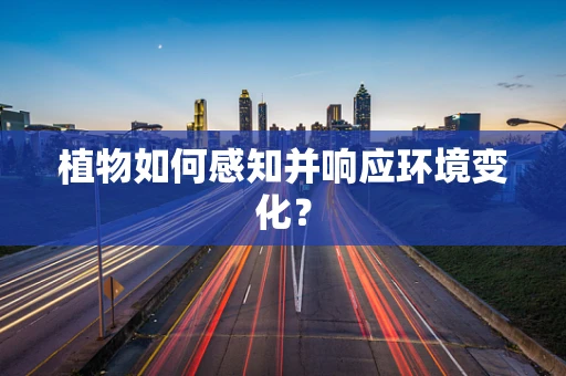 植物如何感知并响应环境变化？