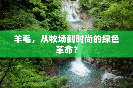 羊毛，从牧场到时尚的绿色革命？